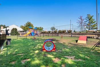 On site dog park